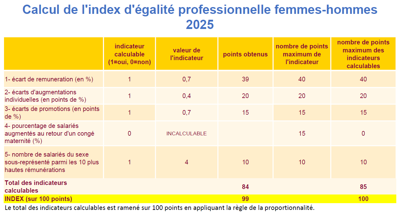 Index égalité HF 2025